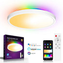Smart RGB Ceiling Light